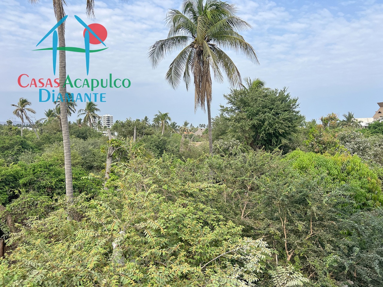 Residencial Palima Caryota 5 - Roof garden 6